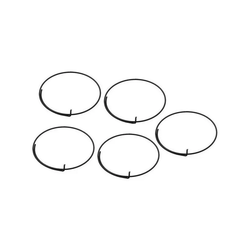 Campagnolo Spare Pawl Spring