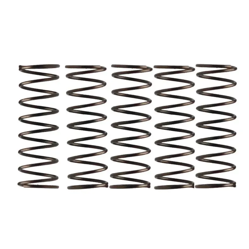 Campagnolo Low End Pre-2004 Pawl Spring in Silver