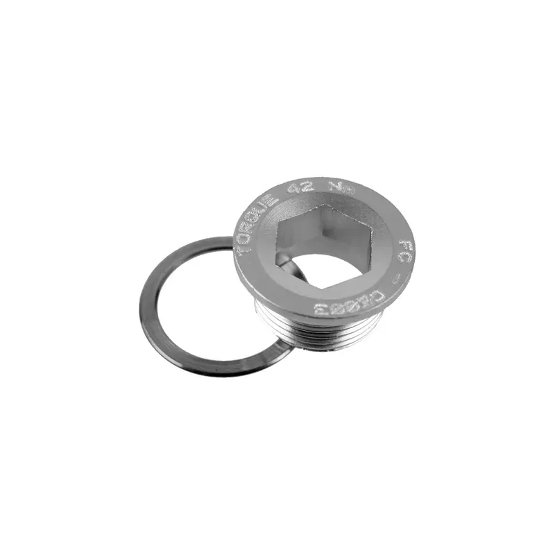 Campagnolo Replacement Crank Fixing Bolt in Black-1