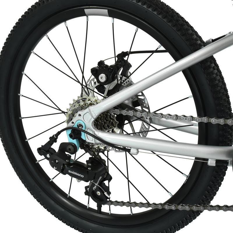 Hoy Pentland 20in Kids Bike in Titanium Silver-4