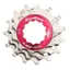 Sunrace and Sturmey Archer 12 Speed Cassette Service Kit in Metallic