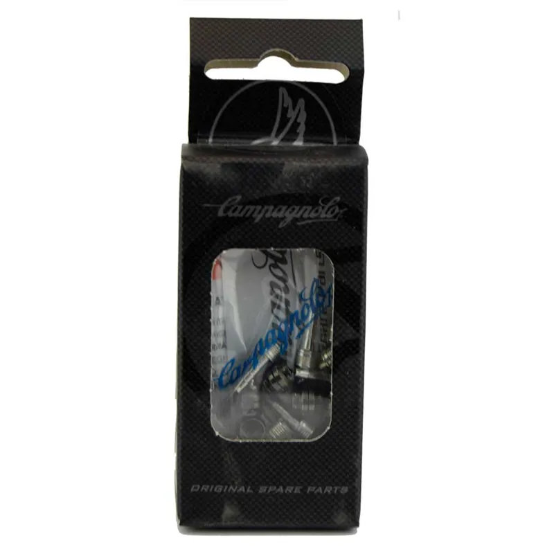 Campagnolo Disc Brake Hose Spares-1