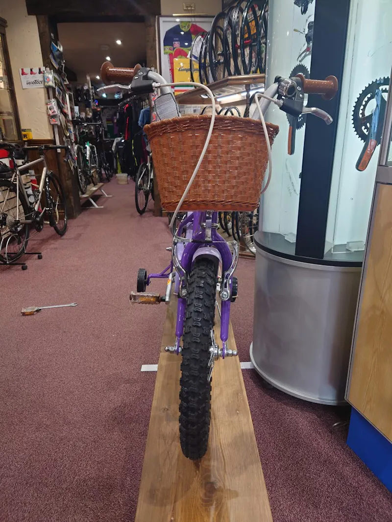 Dawes Lil Duchess 16in Childrens Bike in Purple-1